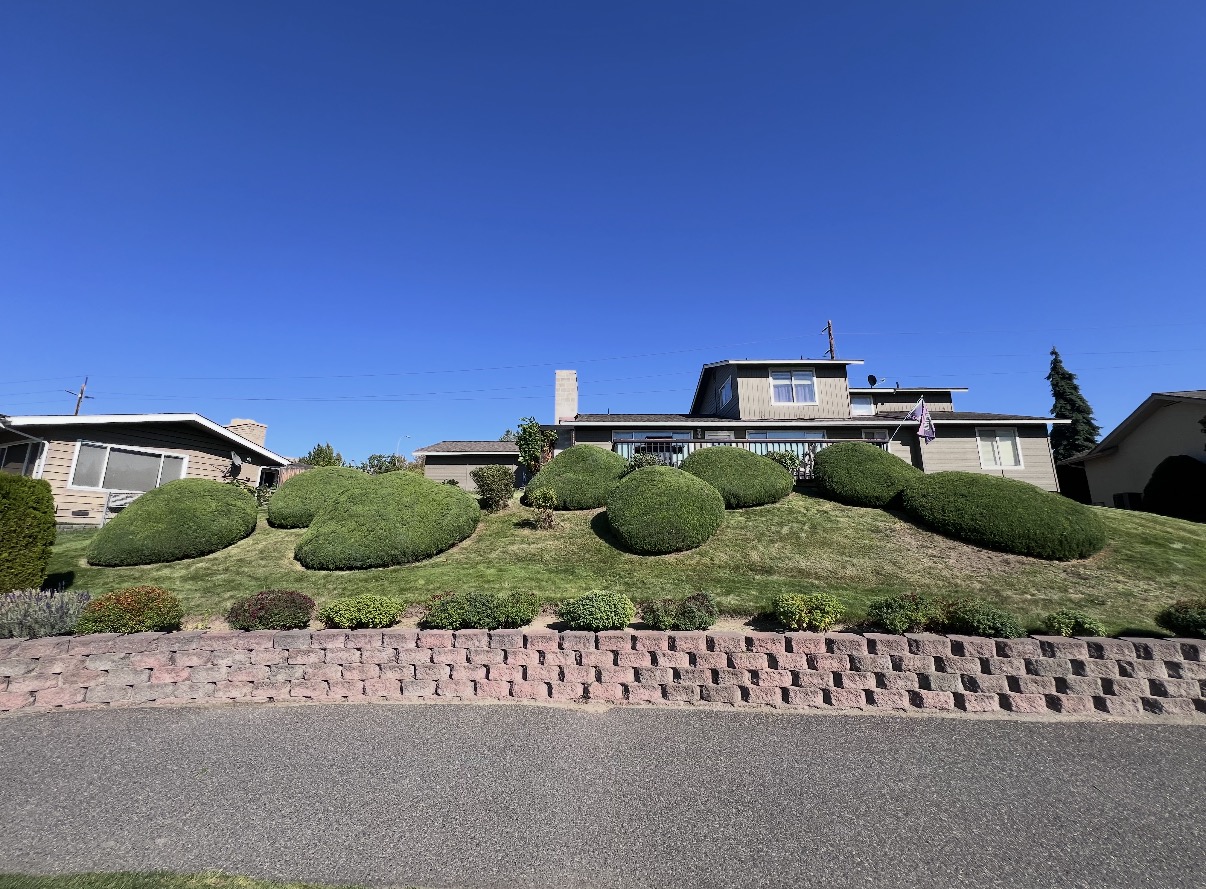 Perfectly shaped hedges and terraced lawn on a Wenatchee home