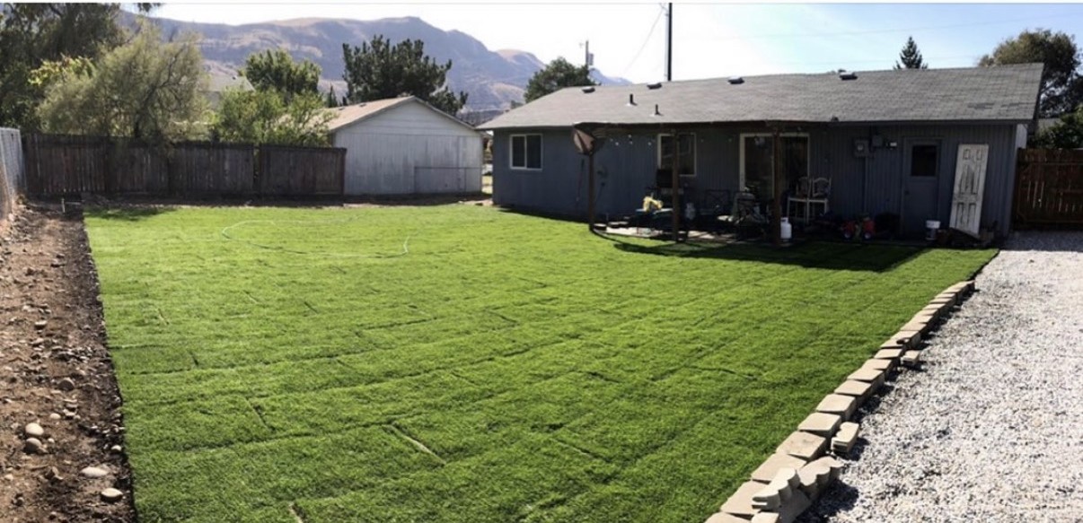 Newly installed lawn at a residential home
